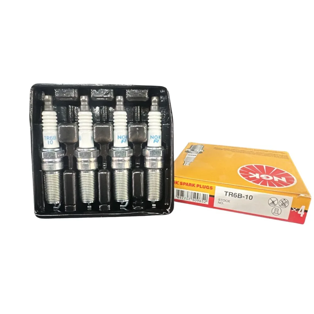 4 Bujías NGK para Ford Ecosport, Ford Fiesta, Ford Focus y Ford Escort y 1 más