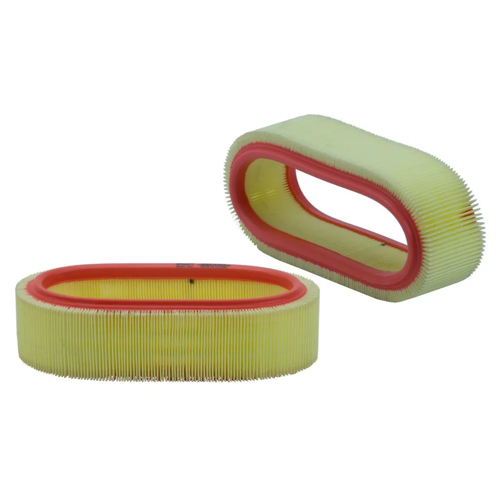 Filtro de Aire para Renault Kangoo, Clio, Express y Logan