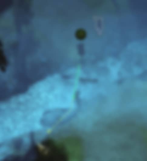 image-20230707111307851