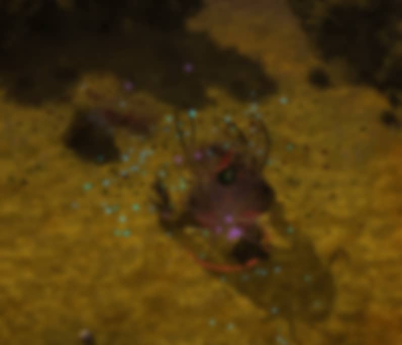 image-20230708170635874