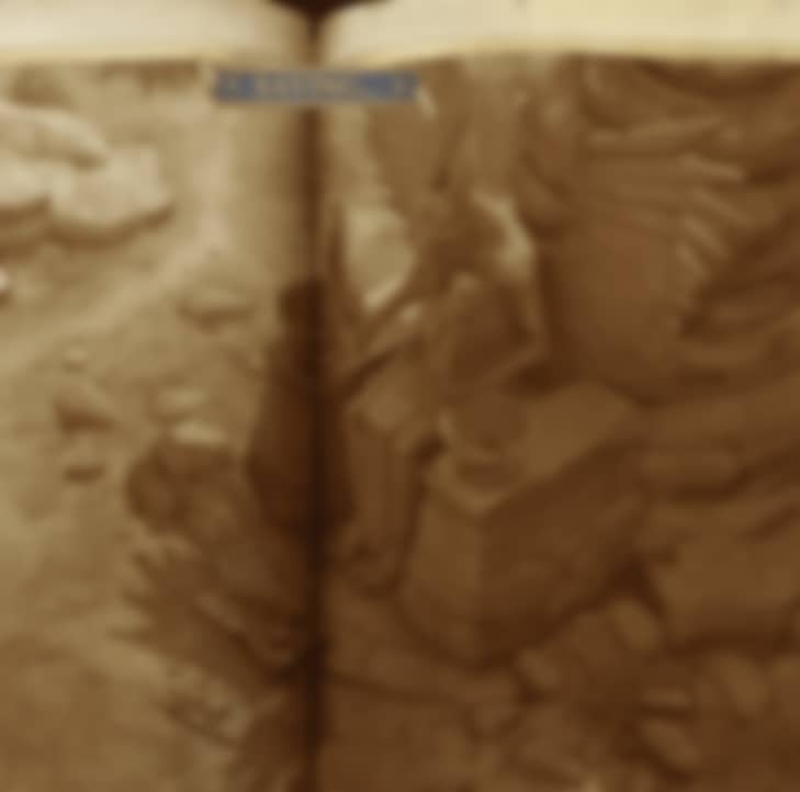 image-20250416231552457