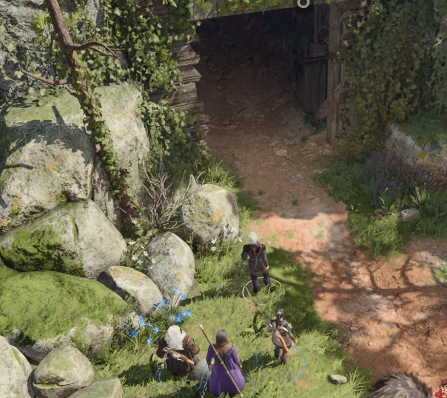 image-20230821114228051