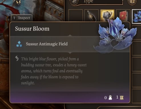 image-20231102005711589