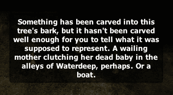 image-20200311230213298