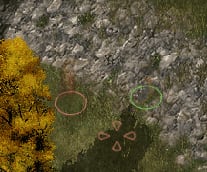 image-20200513215228376