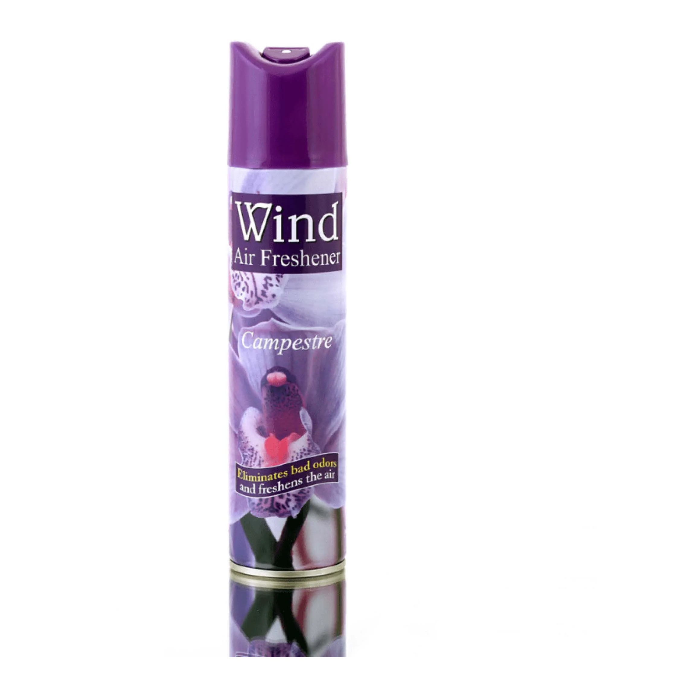 wind-spray-campestre-air-freshener-300ml-1685185150