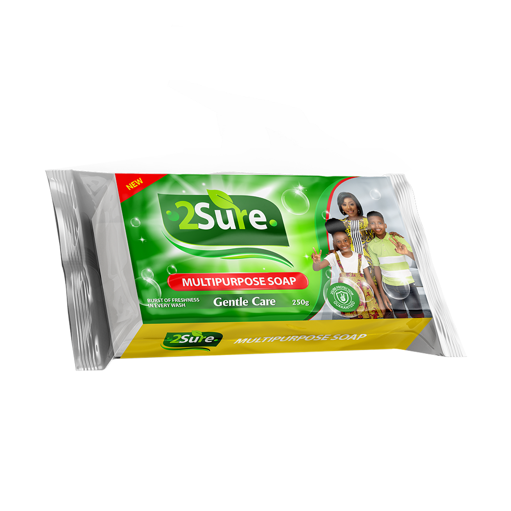 2sure-multipurpose-soap-250g-gentle-care-1707135966