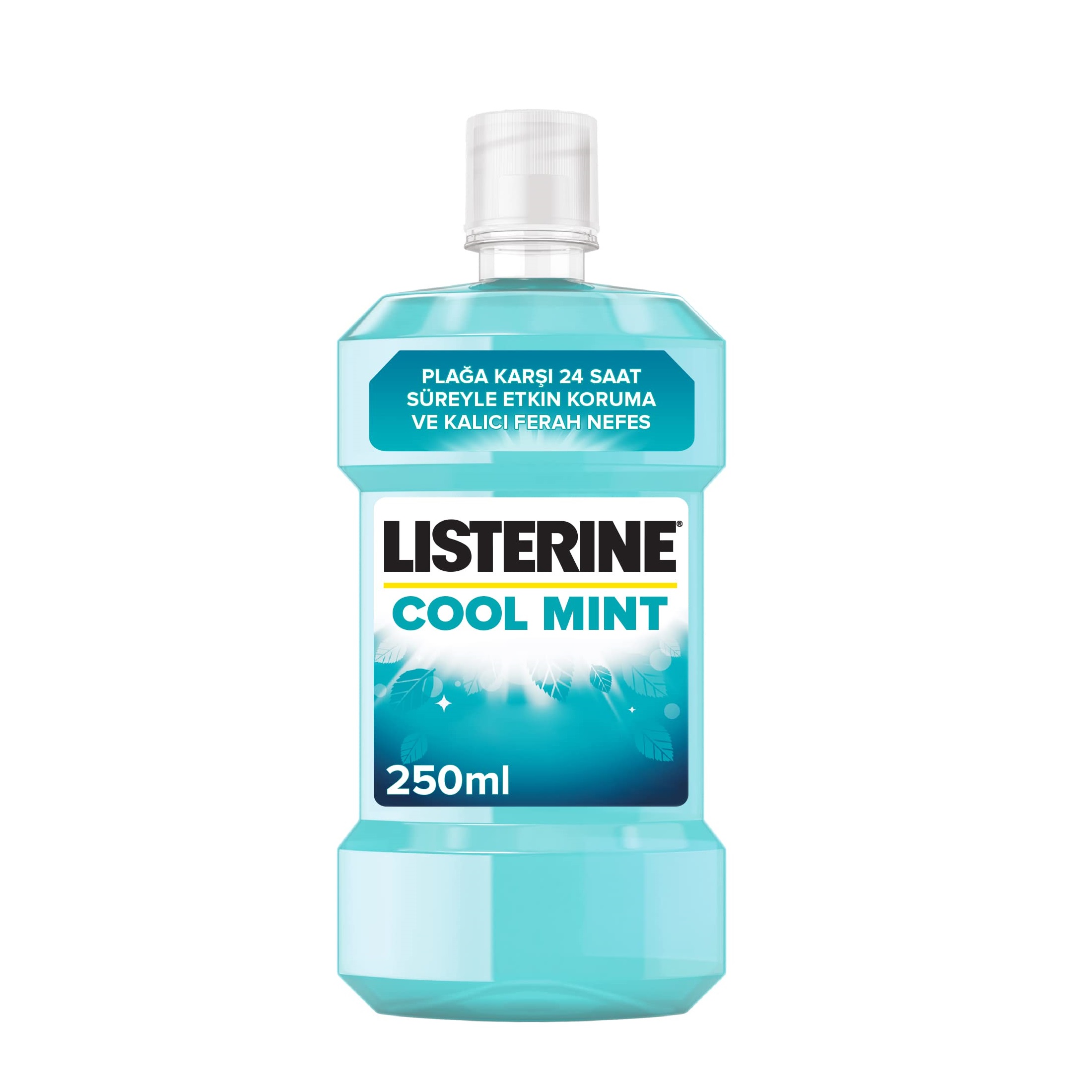listerine-mouth-wash-cool-mint-250ml-1714655157