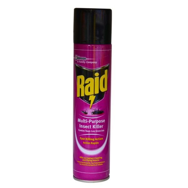raid-multi-purpose-insect-killer-750ml-1715701819