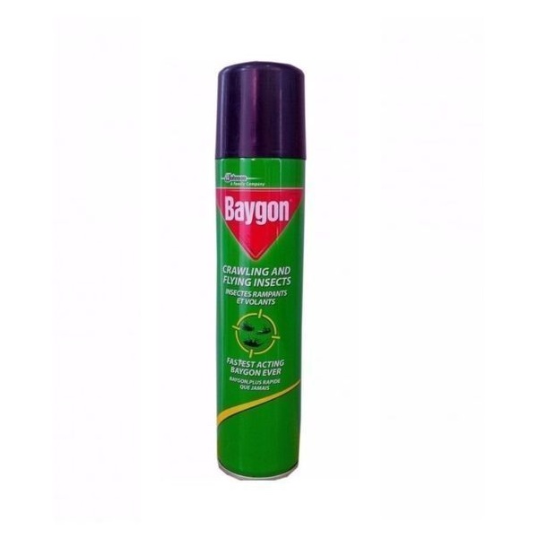 baygon-insecticide-300ml-1751271984