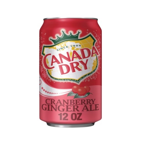 canada-dry-cranberry-355ml-1698997260