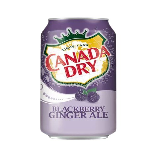 canada-dry-blackberry-ginger-ale-355ml-1699018787