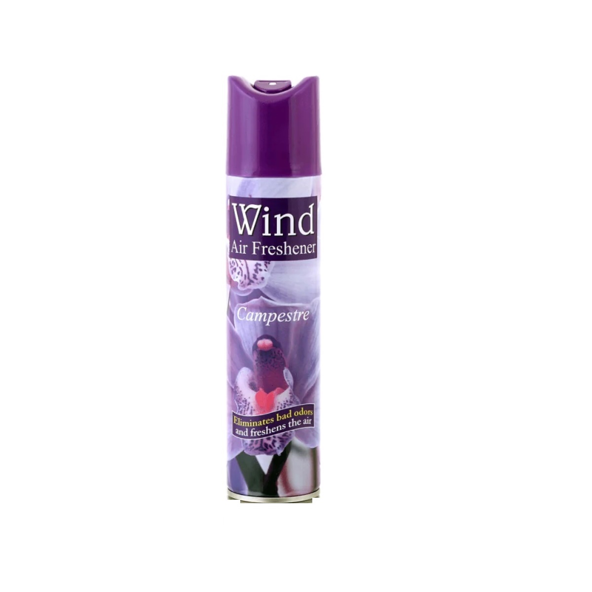 wind-air-freshner-campestre-300ml-1751272787