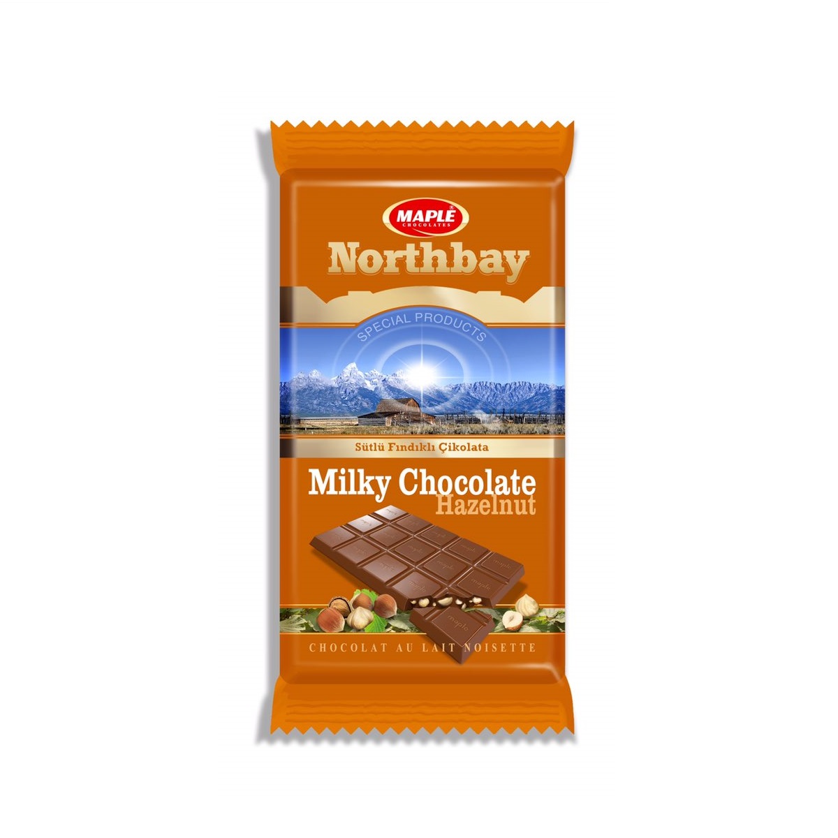 maple-northbay-hazelnut-chocolate-100gm-1699963681
