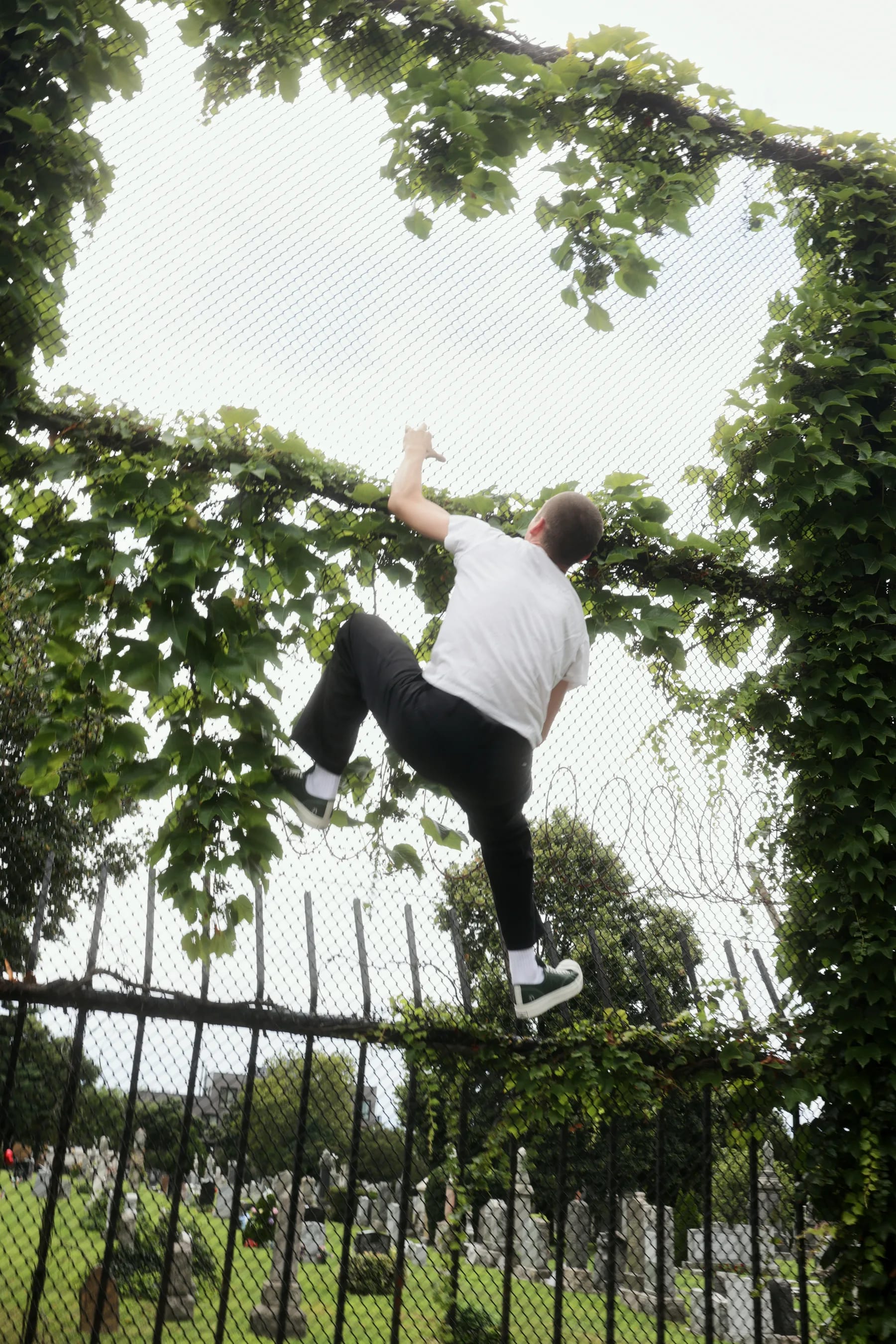 A player in a white tee vaulting an iron fence into a wall of ivy.