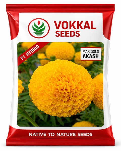 Vokkal Akash Marigold Seeds