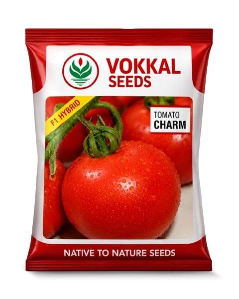 Vokkal Charm Tomato Seeds
