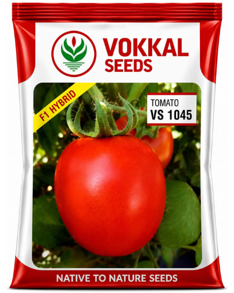 Vokkal VS 1045 Tomato Seeds
