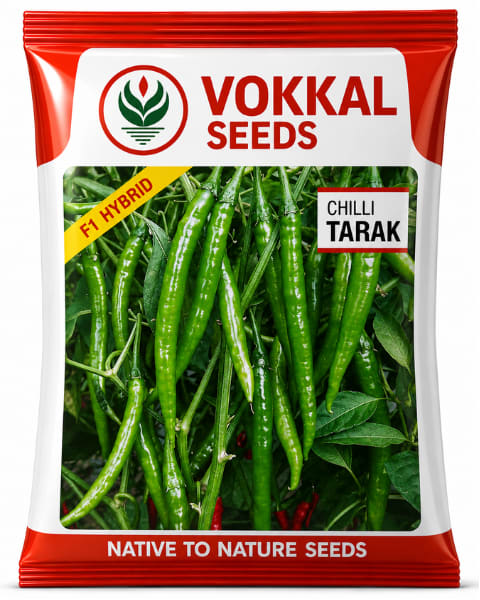 Vokkal Tarak Chilli Seeds
