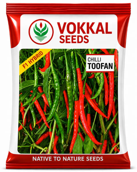 Vokkal Toofan Chilli Seeds