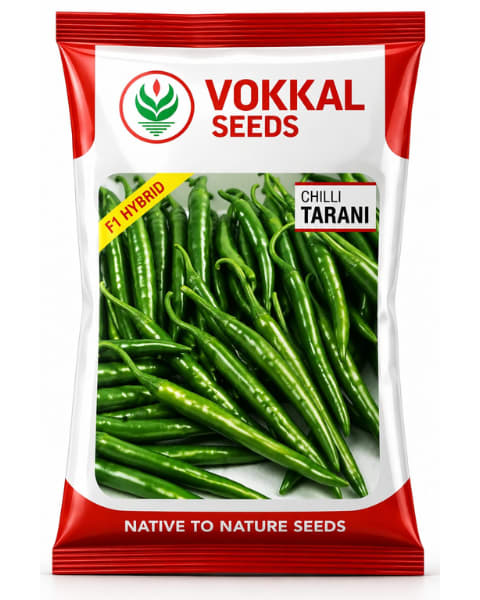 Vokkal Tarani Chilli Seeds