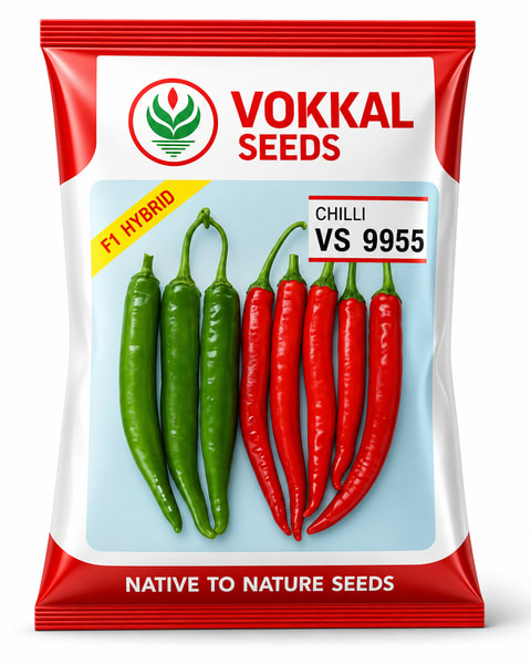 Vokkal VS 9955 Chilli Seeds