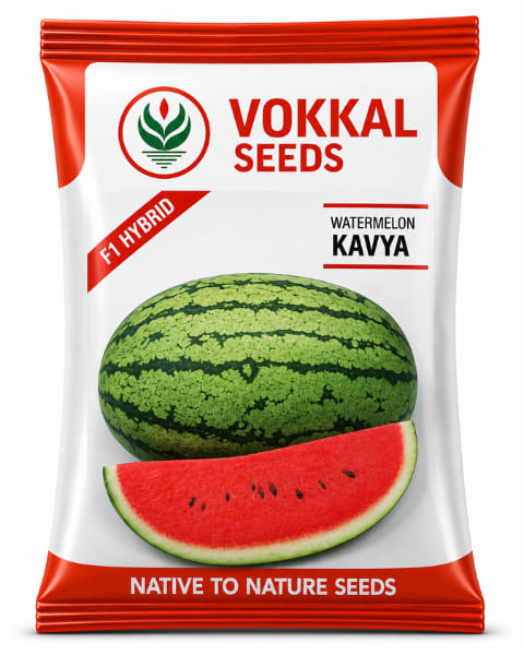 Vokkal Kavya Watermelon Seeds