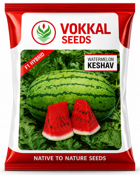 Vokkal Keshav Watermelon Seeds
