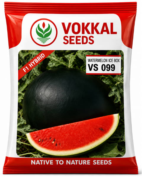 Vokkal VS 099 Watermelon Seeds