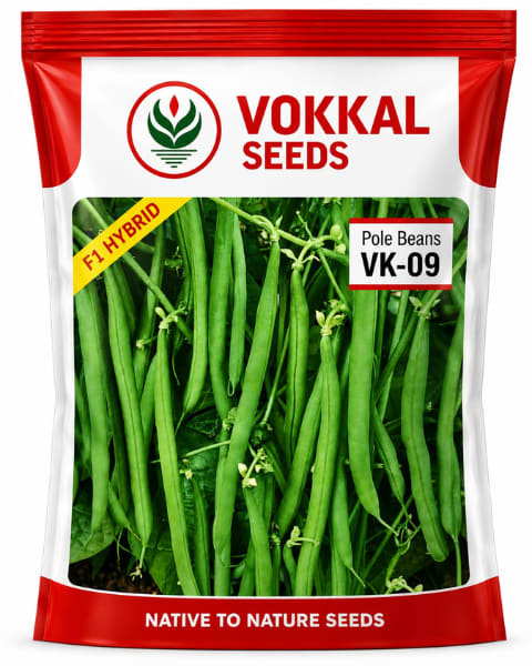 Vokkal VK-09 Pole Bean Seeds