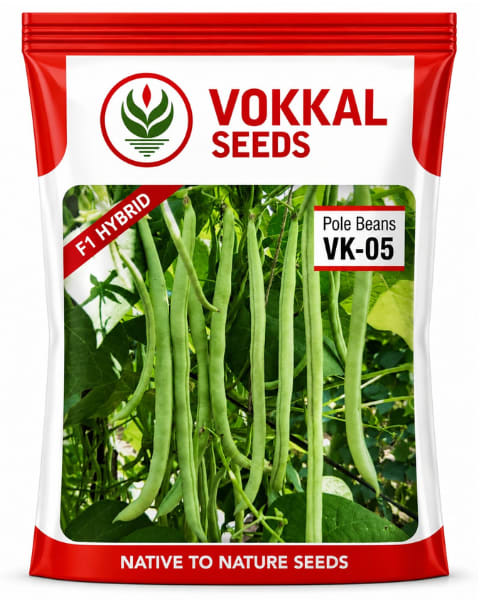 Vokkal VK-05 Pole Bean Seeds