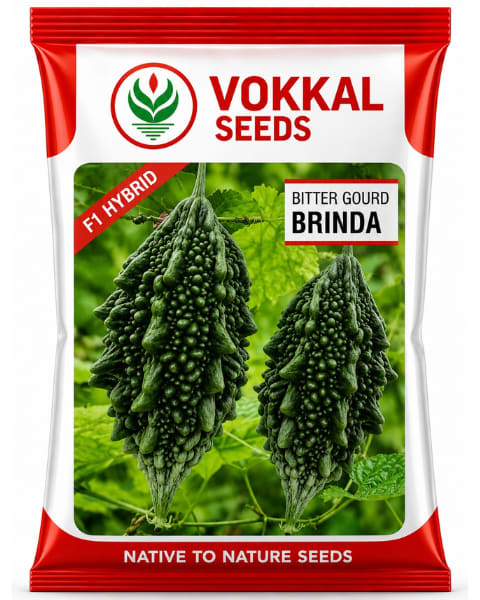 Vokkal Brinda Bitter Gourd Seeds