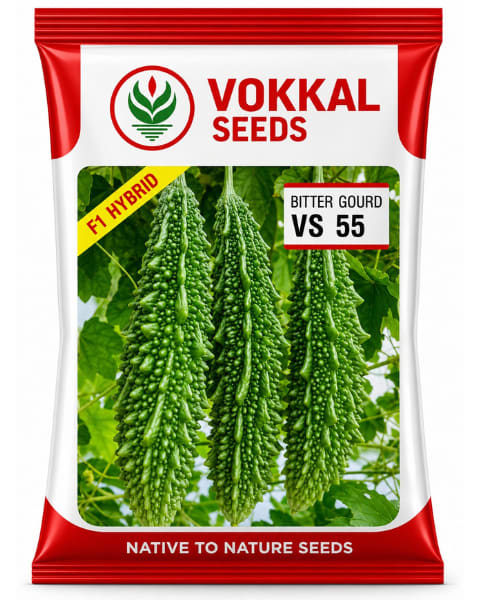Vokkal VS-55 Bitter Gourd Seeds