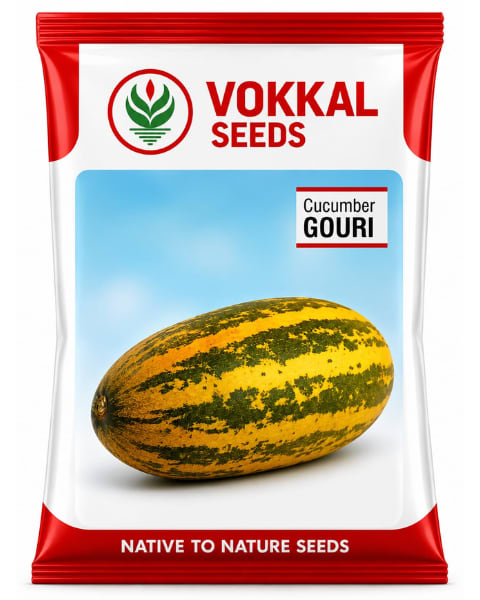 Vokkal Gouri Cucumber Seeds