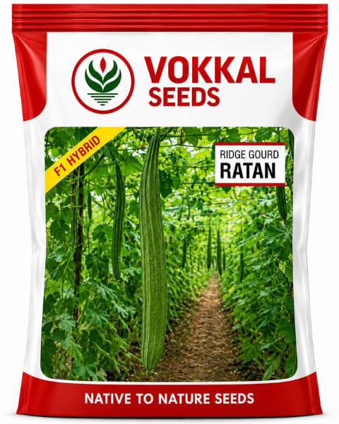 Vokkal Ratan Ridge Gourd Seeds