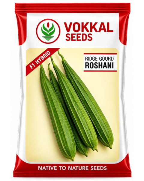 Vokkal Roshani Ridge Gourd Seeds