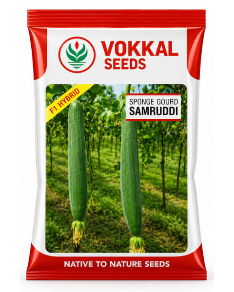 Vokkal Samruddi Sponge Gourd Seeds