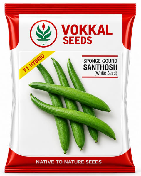 Vokkal Santhosh Sponge Gourd Seeds