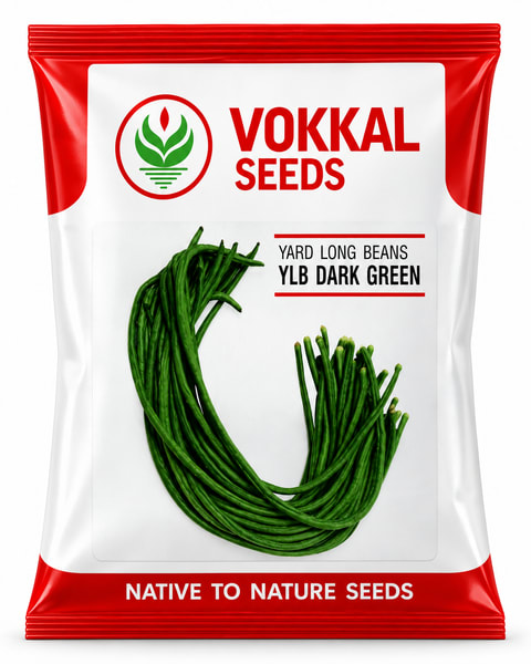 Vokkal YLB Dark Green Yard Long Bean Seeds