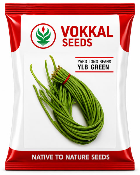 Vokkal YLB Green Yard Long Bean Seeds