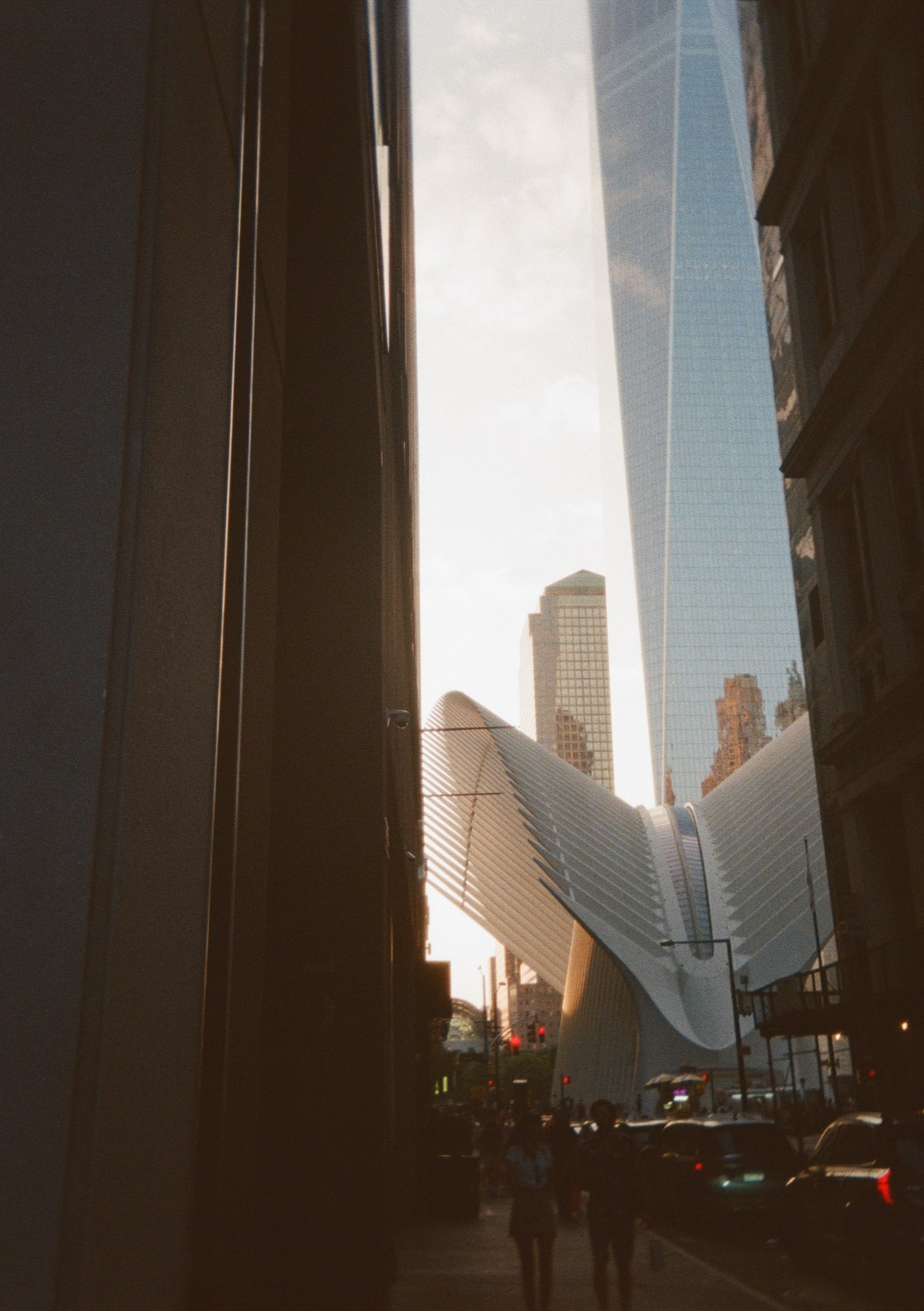 ny spikes
