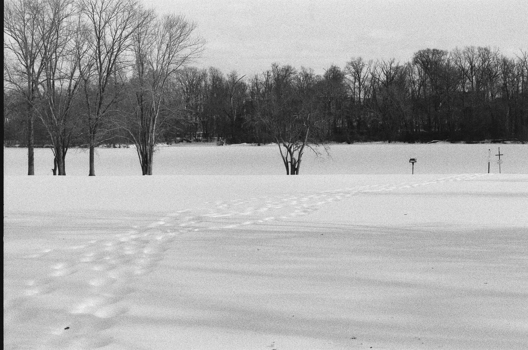 path in snow
