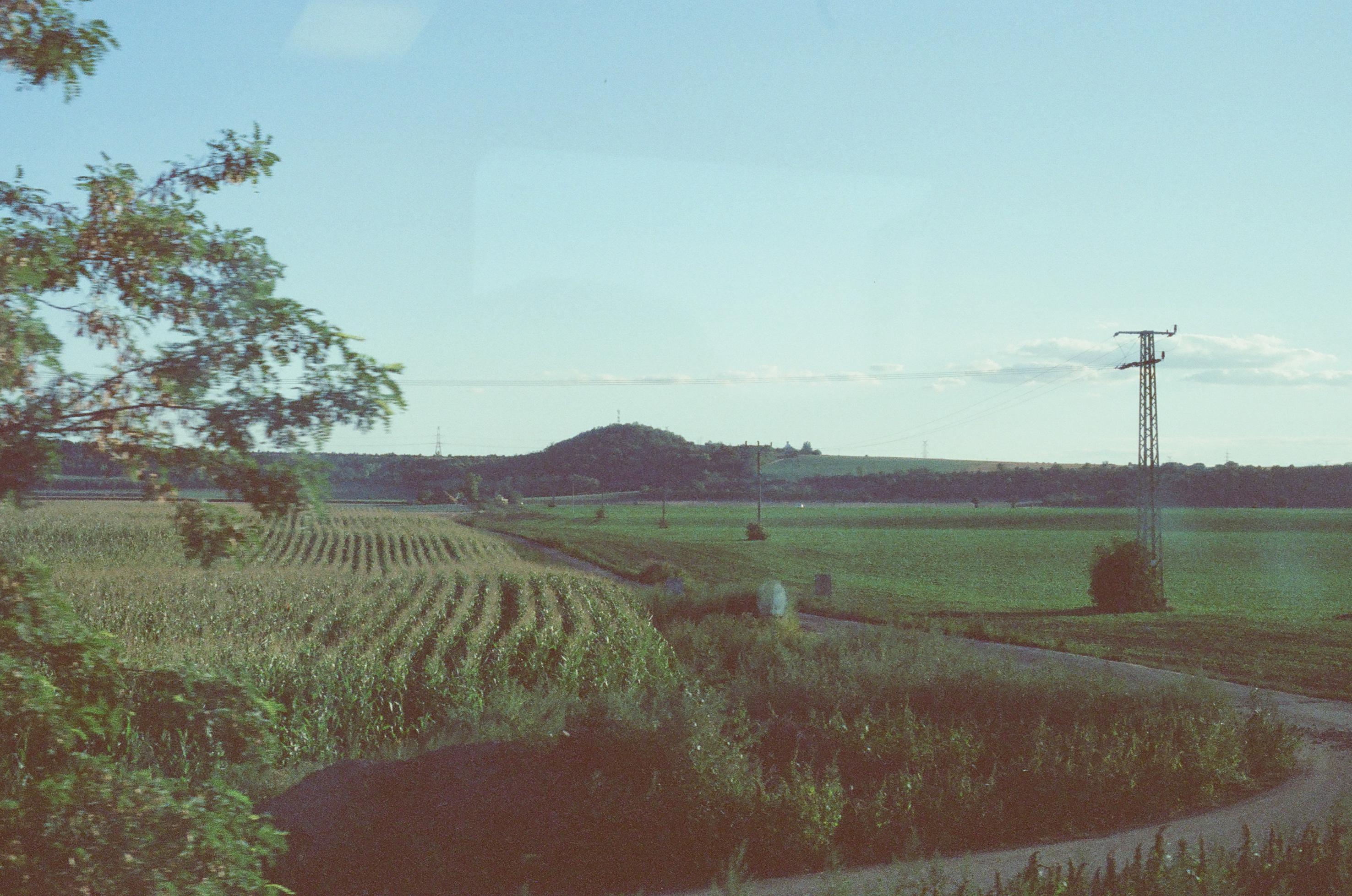train fields