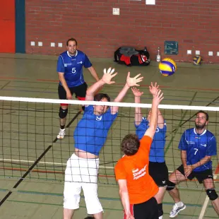 Vorschaubild „Volleyball“