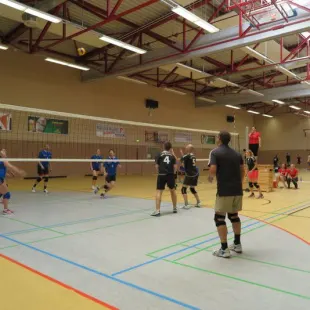 Vorschaubild „Volleyball“