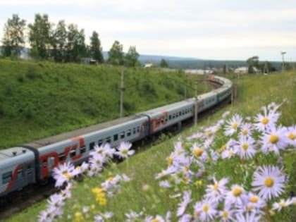 КбшЖД удалось сохранить порядка 670 деревьев за счет рационального обращения с отходами