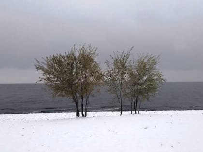 Жителям Самарской области сообщили, когда выпадет снег