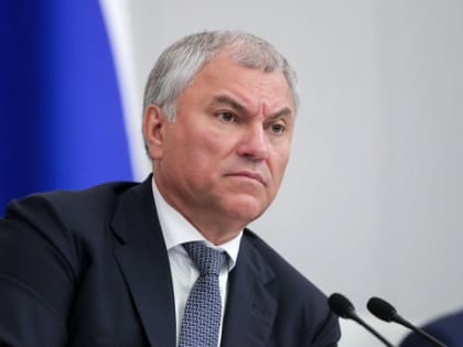 Председатель Госдумы Володин назвал оскорблением слова главы СК Бастрыкина