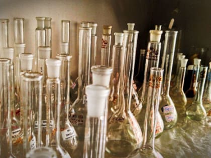 В Самаре 30 января действует карантин из-за опасного заболевания убивающего печень - водяной лихорадки