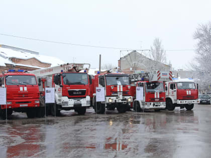 В Самаре спасли пострадавших от пожара котов в доме на Аэродромной